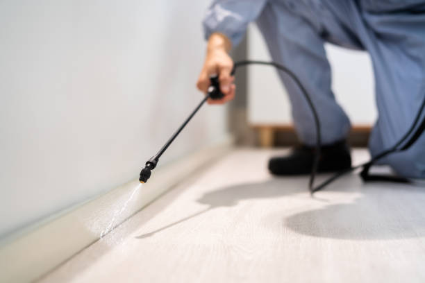 Licensed Pest Control service in Jefferson County County, WI - Nex Pest Control